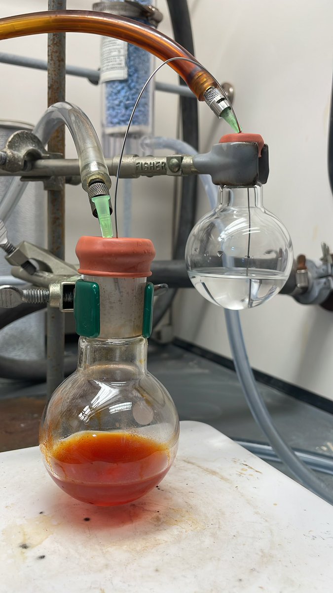 HansonFSU tweet media