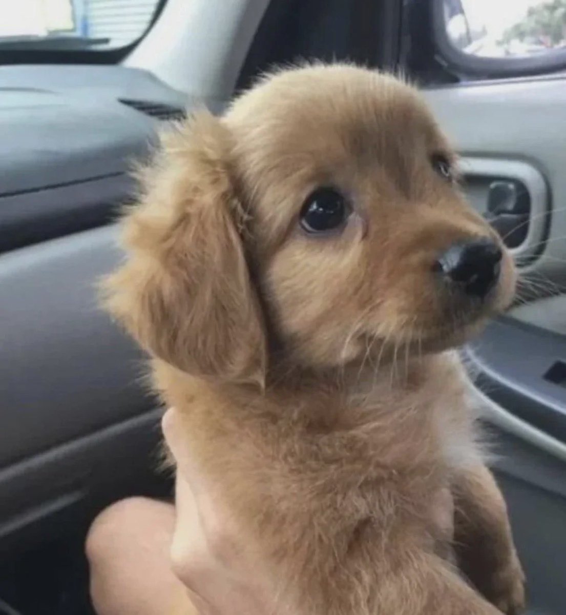 Het Mehta tweet media