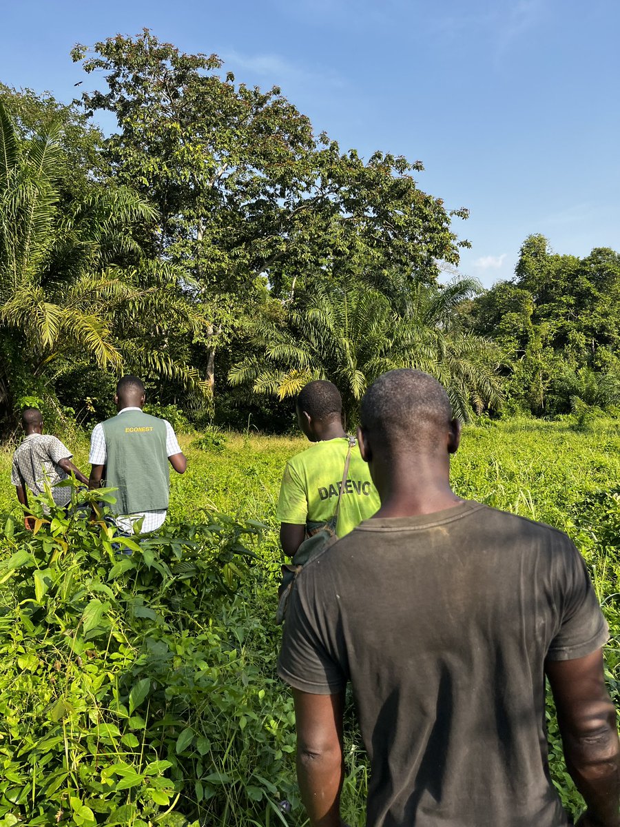 Ecologicalnest's tweet photo. Over 6 years (2026–2032), we'll restore degraded landscapes in Ghana's Western North Region revitalizing ecosystems, boosting food security, and improving farmer livelihoods.

2/3 https://t.co/D1fl1CEsOV