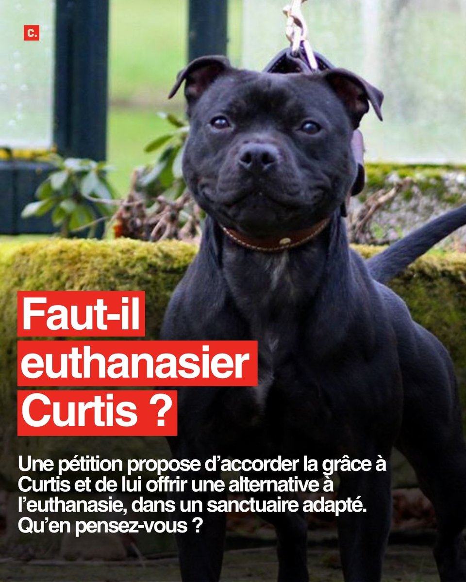 Change.org France tweet media