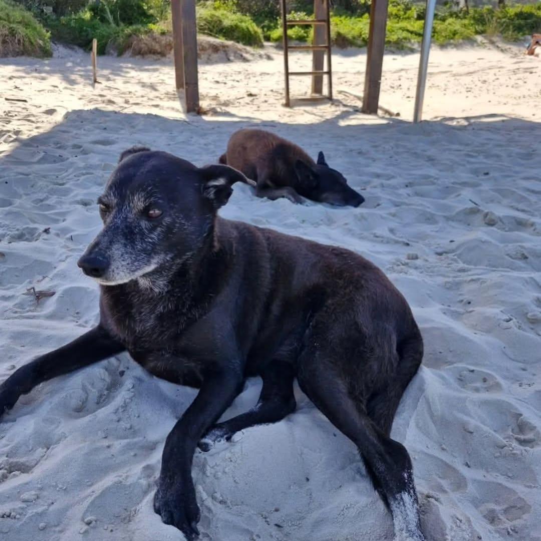 iti malias tweet media