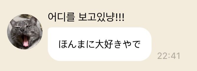 밥냥이 tweet media