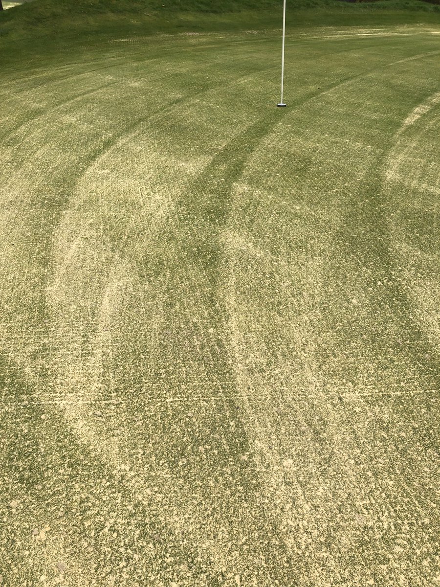 StGeorgesHillGC's tweet photo. #HeathlandRestoration ✅ #MaintenanceWeek ✅ https://t.co/LyHyice2ZW