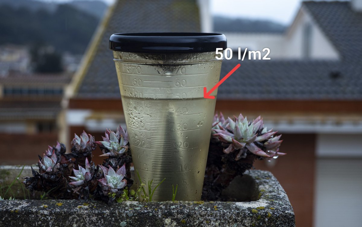 🎗️MeteoAdM tweet media