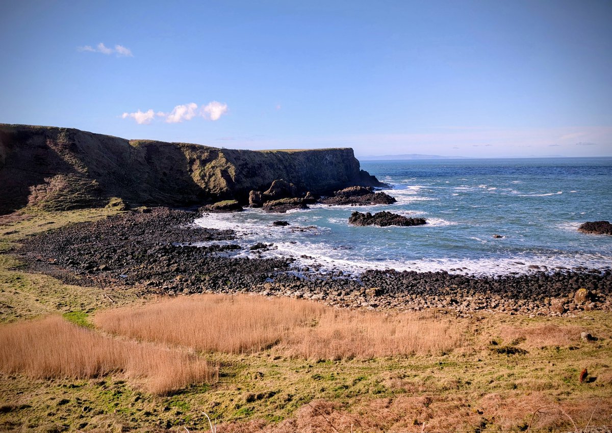 Anne Kelly ⛔NO DMs⛔ unless I know or follow you. tweet media