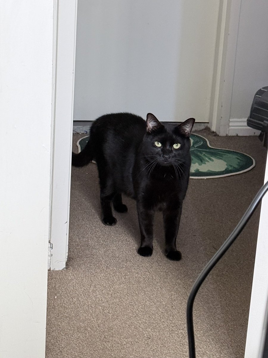 在做爱做完回你 tweet media