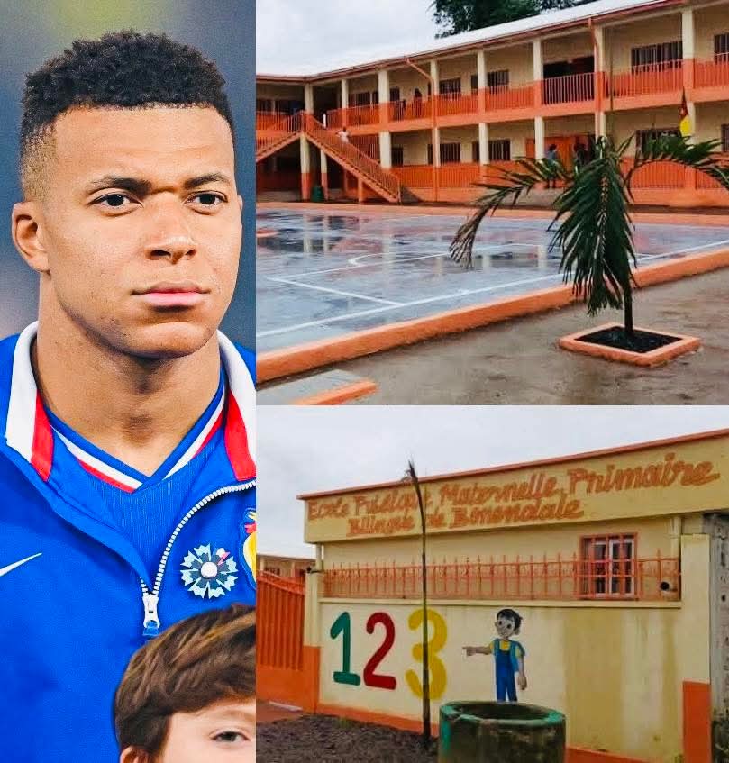 Bee Sports tweet media