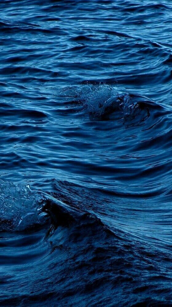 ocean tweet media