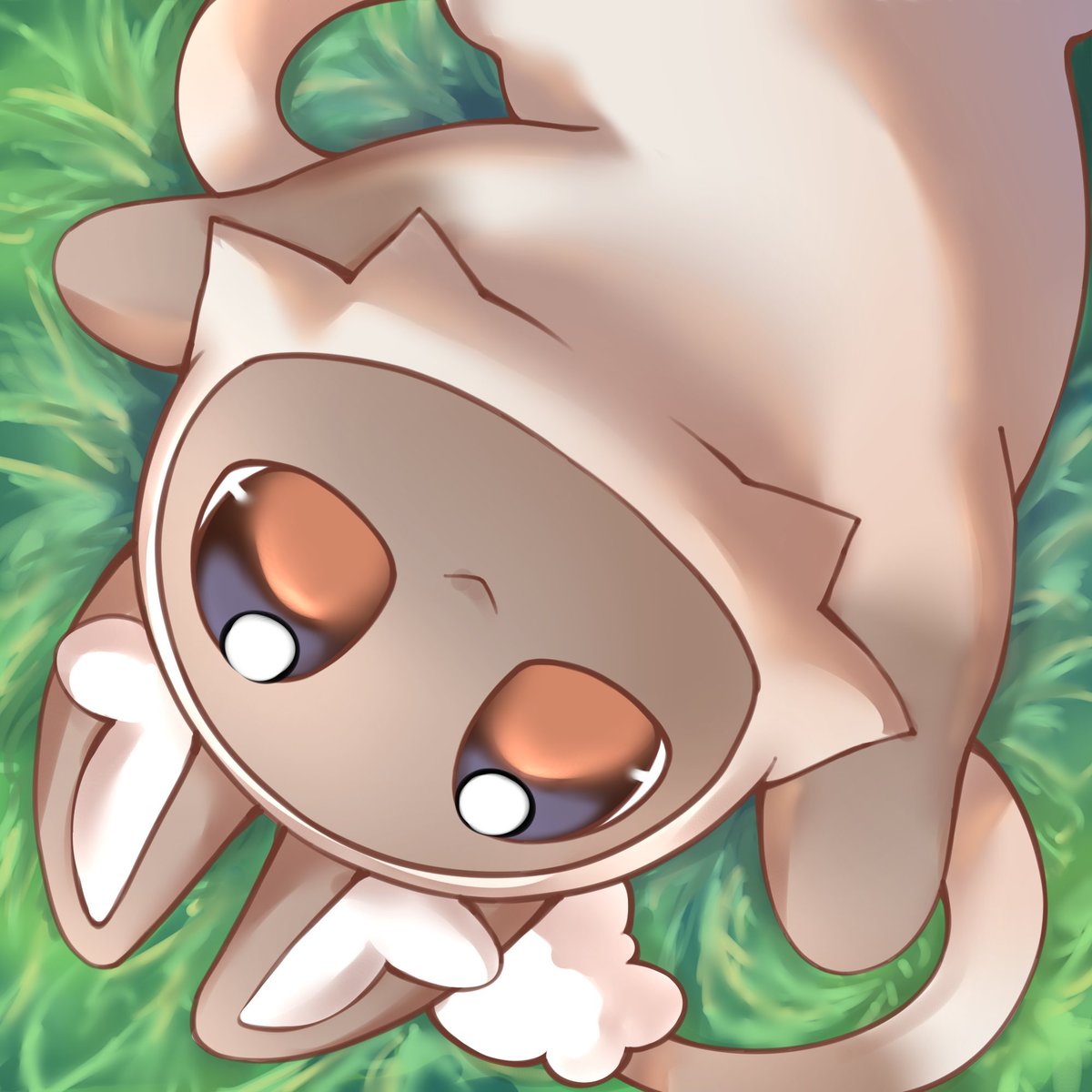 Pinpin 🐺 VTUBER FR tweet media