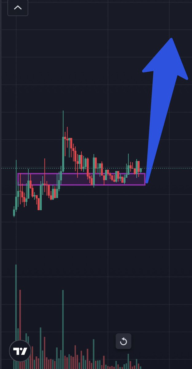 Hunter Andrew tweet media