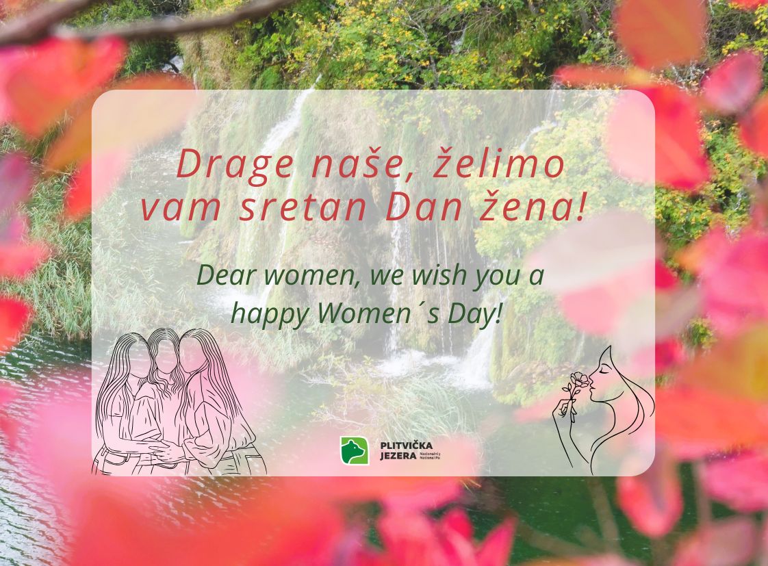 Plitvice Lakes National Park tweet media