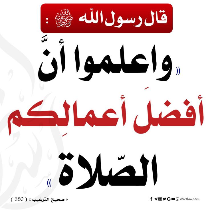 saeedalkamali11's tweet photo. https://t.co/252VTIxruV