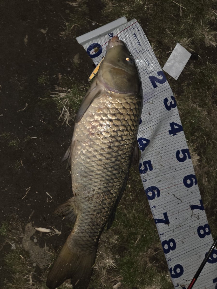 りょう tweet media