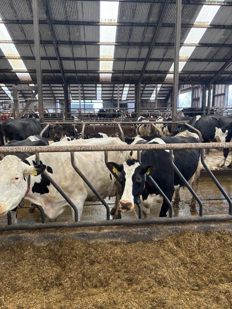 Rural Support tweet media