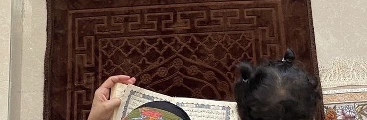 J7rm_'s tweet photo. افتح الصورة وشوف أمنية كل بنت❣️