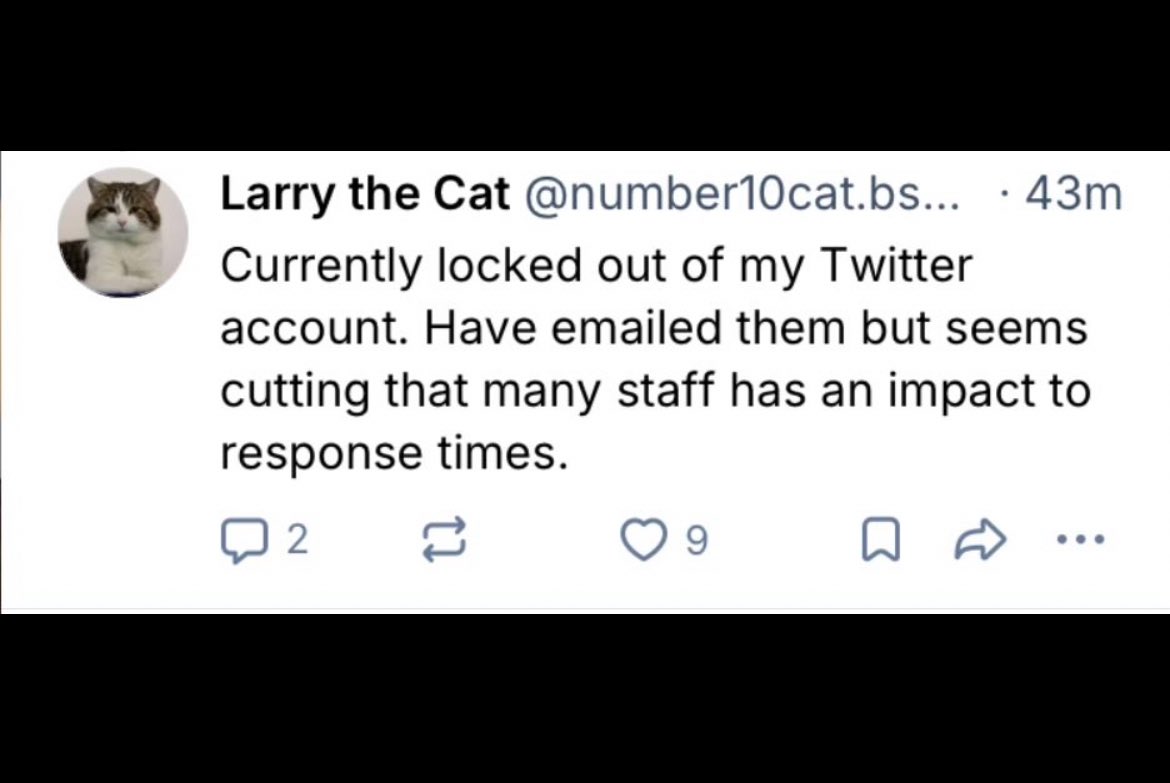 Anne McKay tweet media