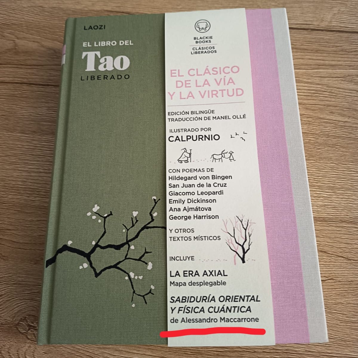 Sandro Maccarrone tweet media