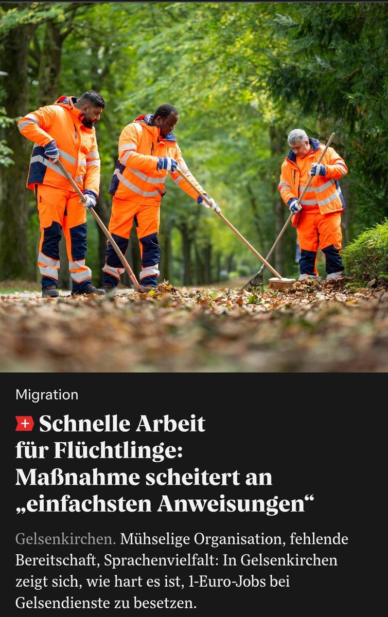 Hide_the_Harold's tweet photo. Boah. Was soll man da sagen? https://t.co/wLdkRFFQcM