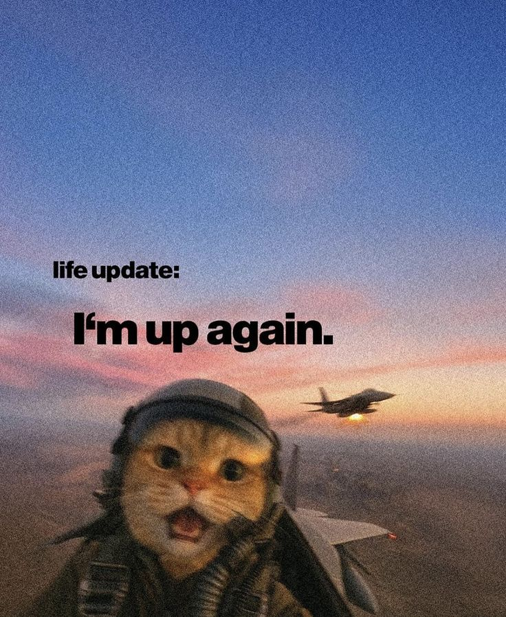 Flávio Veloso tweet media