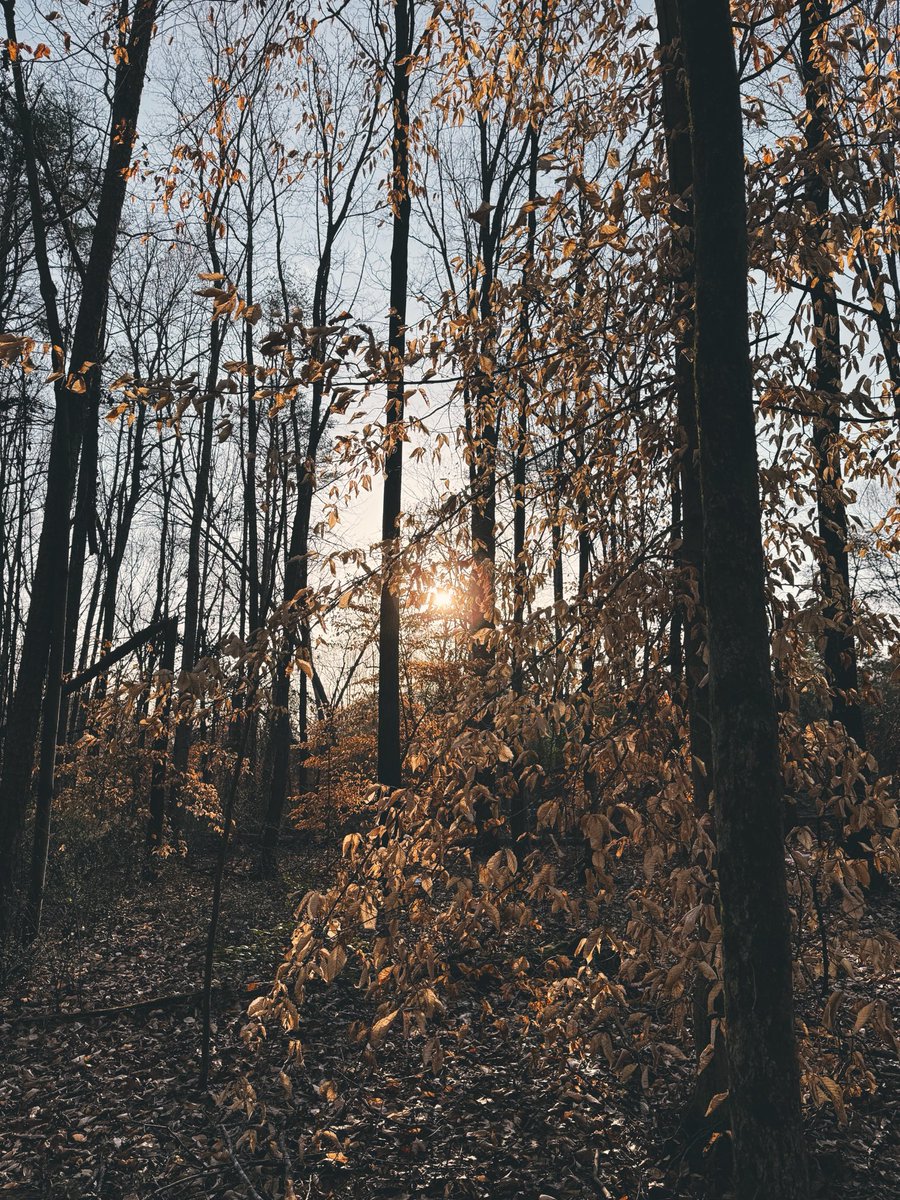 Buffalo Dan tweet media