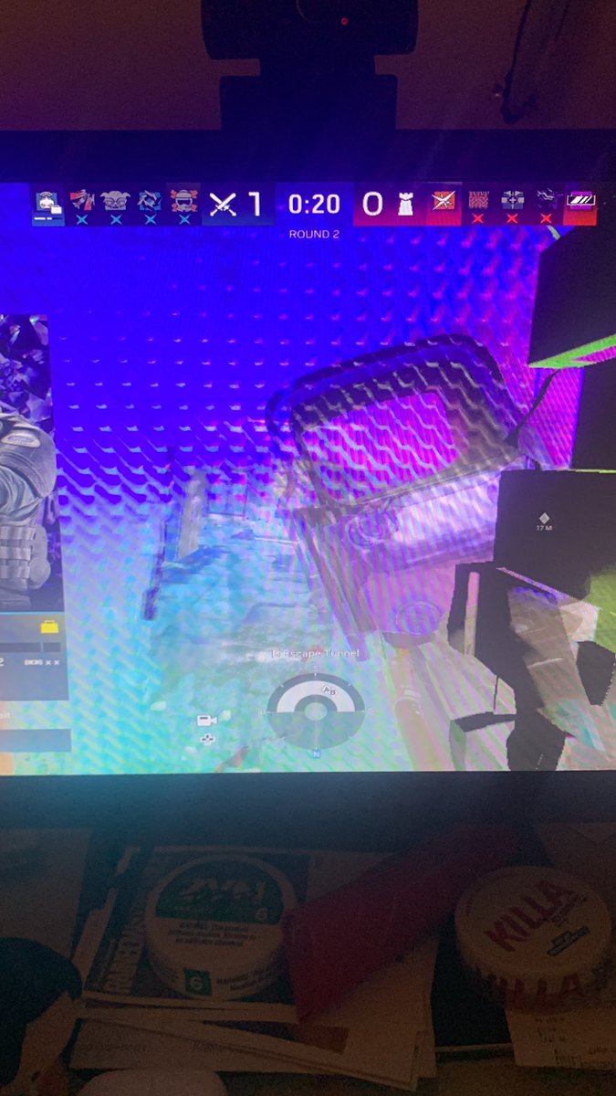 Pinkbear22 tweet media