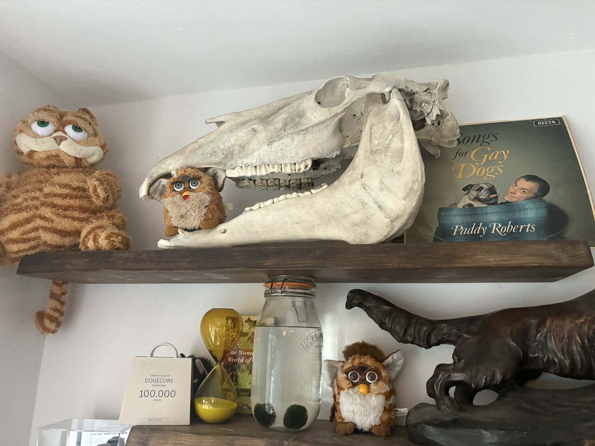 dogecore tweet media