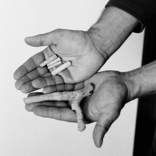 CONE Magazine tweet media