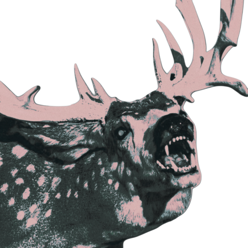  ꪝᴵᴸᴸ 𐂂 𝙶𝚁𝙰𝙷𝙰𝙼 tweet media