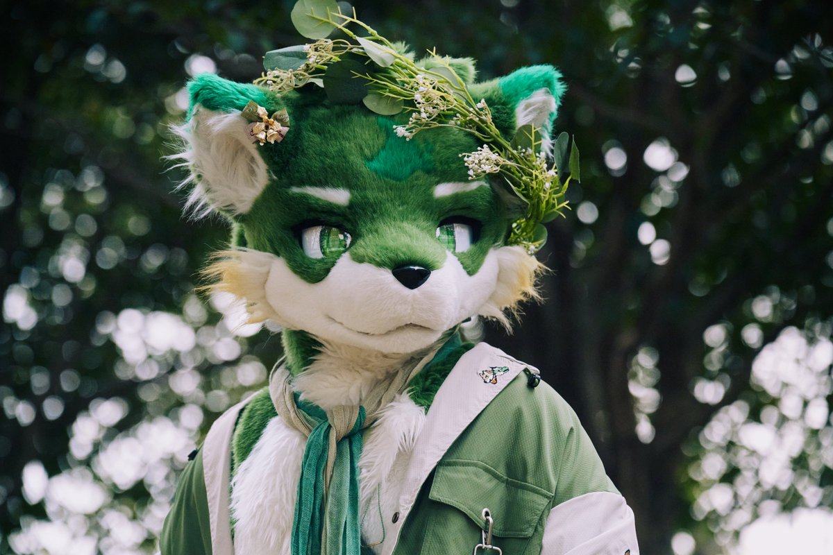 暮 / クレ tweet media