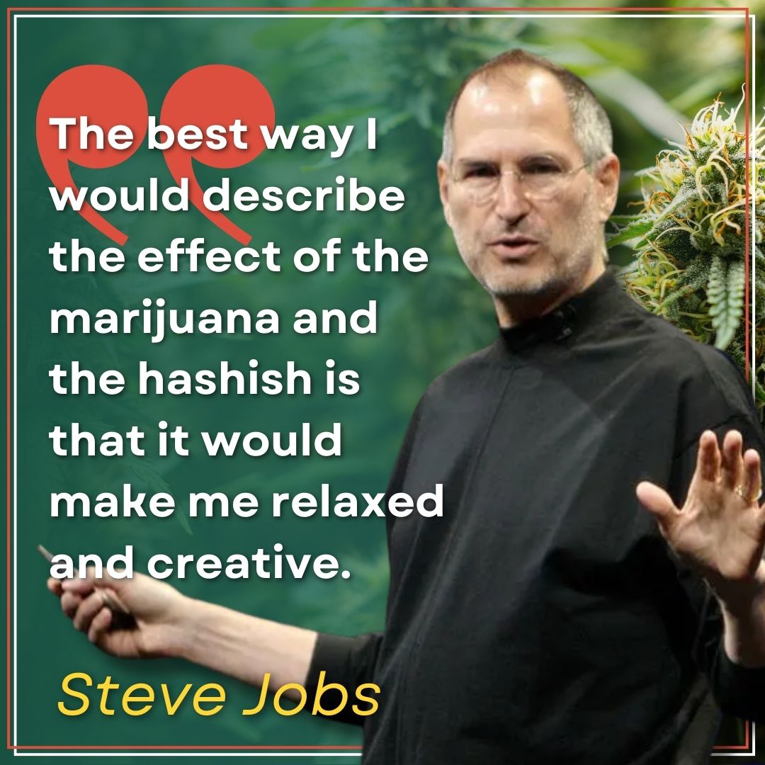 Herbal Dispatch (CSE: $HERB | OTC:$LUFFF FRA:$HA9) tweet media