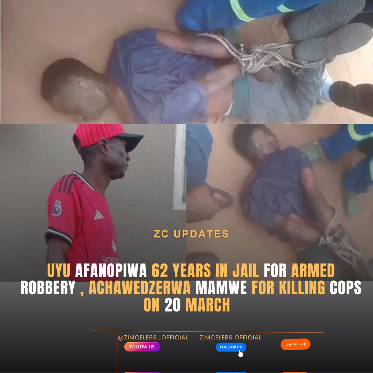 Zim-Celebs tweet media