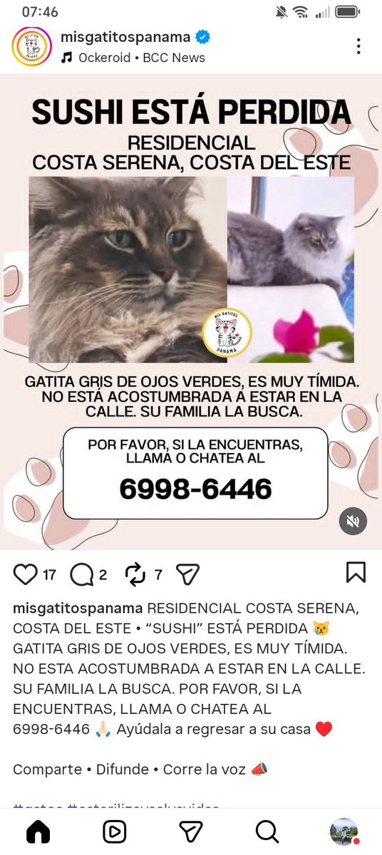 Nacelys González tweet media