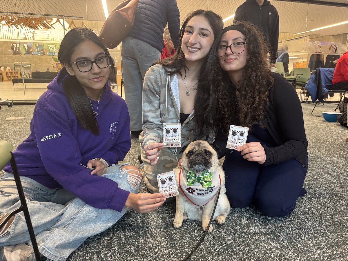 Zombie Pug & Crowley aka Lil C tweet media