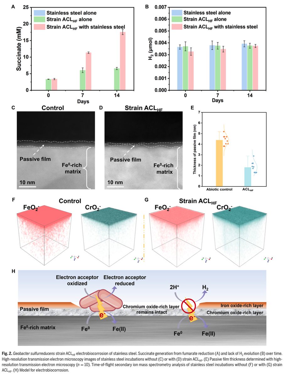 Derek Lovley tweet media