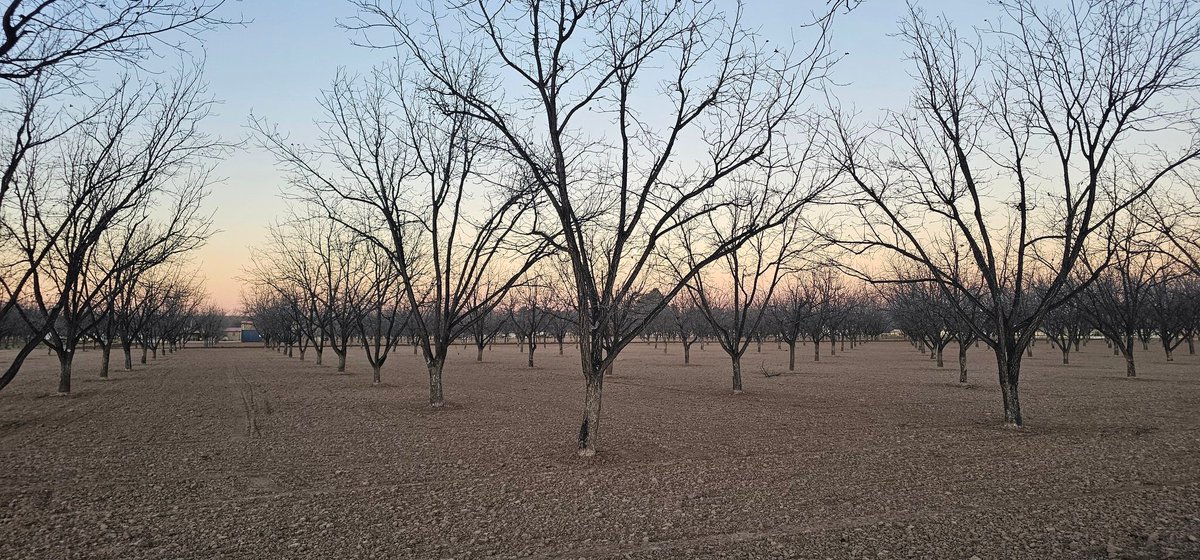 Twelve Meatballs tweet media