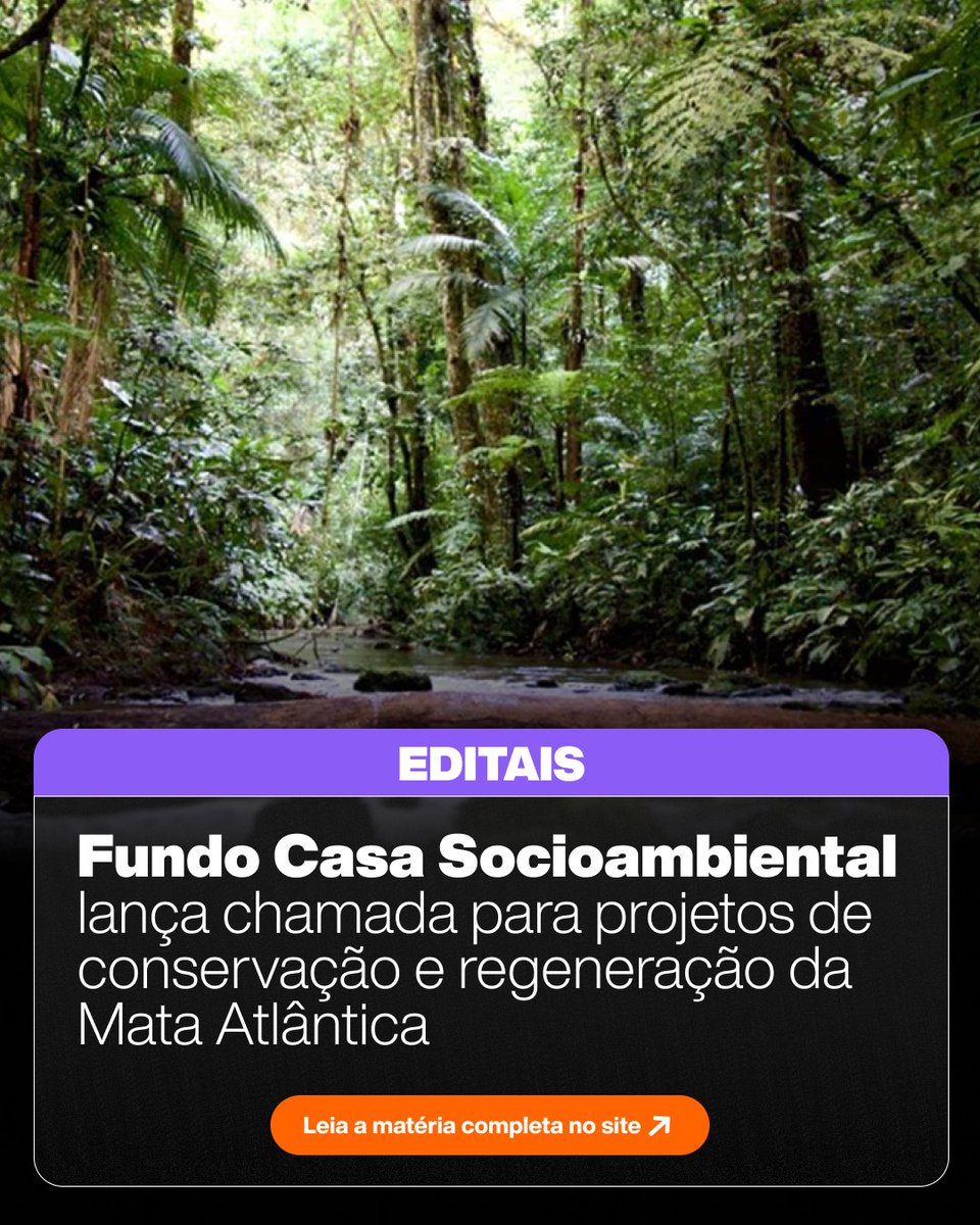 Estão abertas as inscrições para a chamada “Mata Atlântica Viva”, do Fundo Casa Socioambiental.
📷A iniciativa vai apoiar até 42 projetos comunitários de conservação e restauração da Mata Atlântica, com recursos de até R$ 60 mil por projeto.

📷 Inscrições até 25 de março.