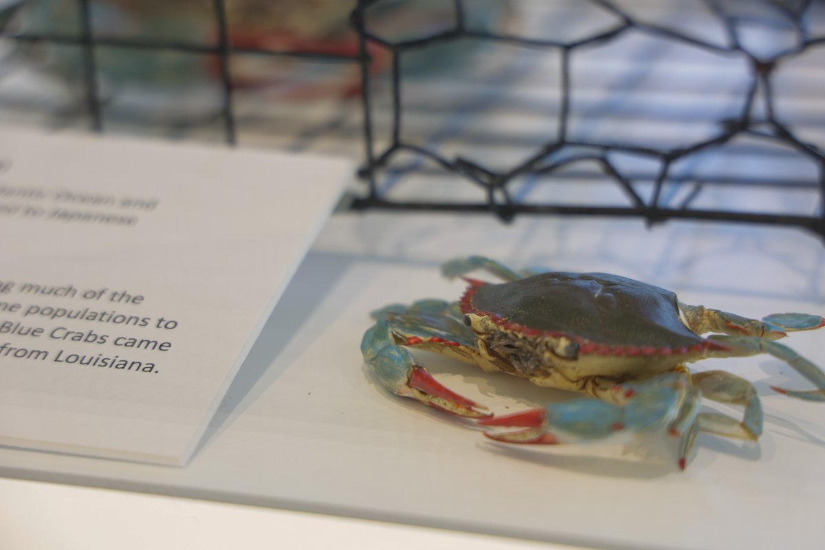 New Jersey State Museum tweet media