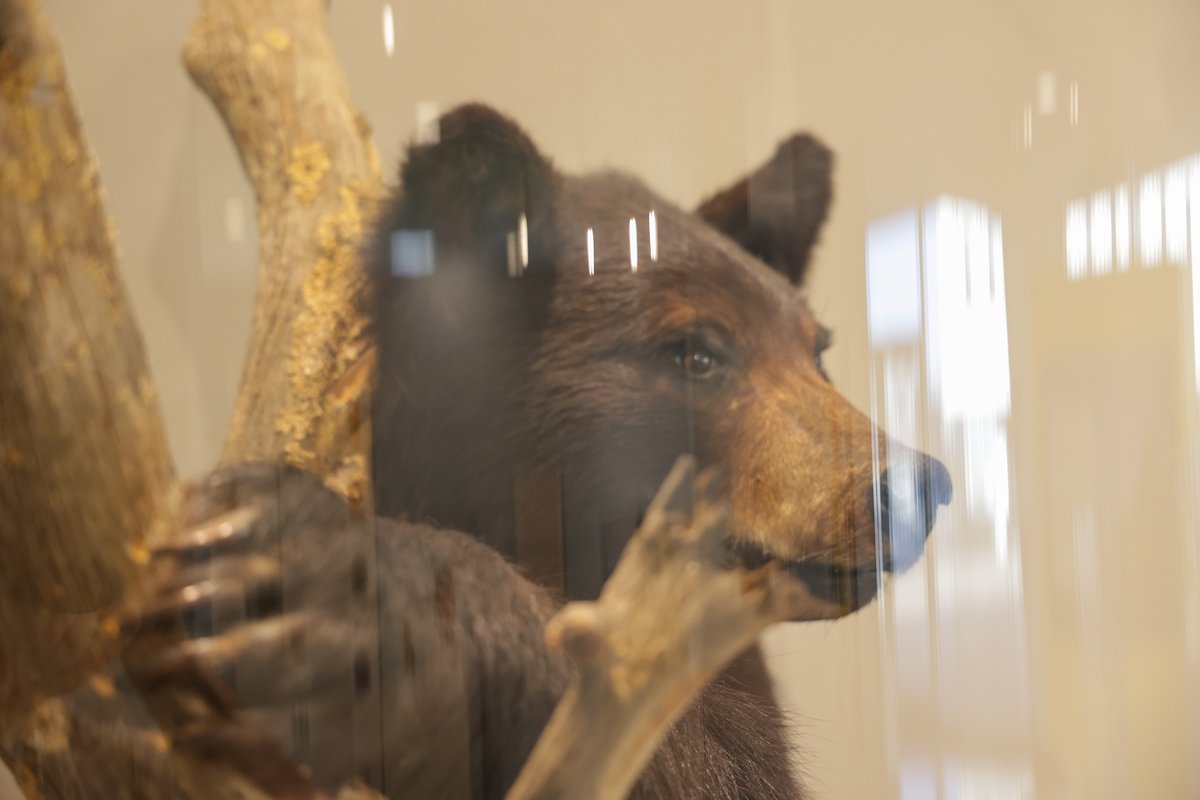 New Jersey State Museum tweet media