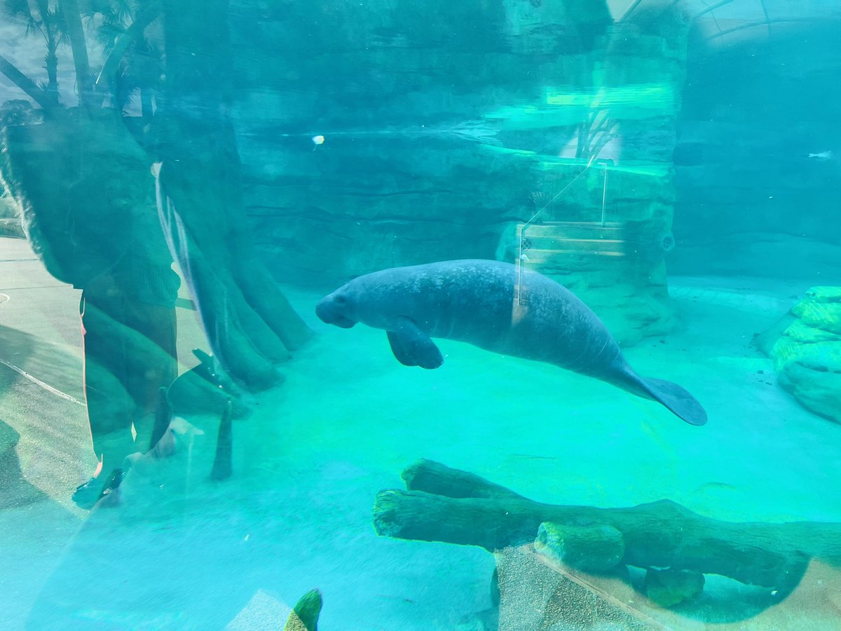 City of Jacksonville tweet media