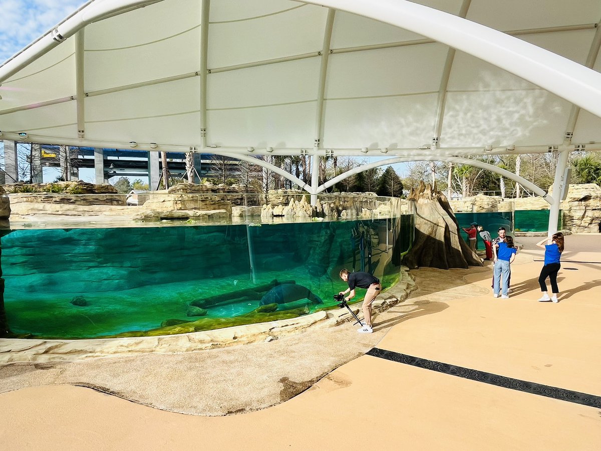 City of Jacksonville tweet media