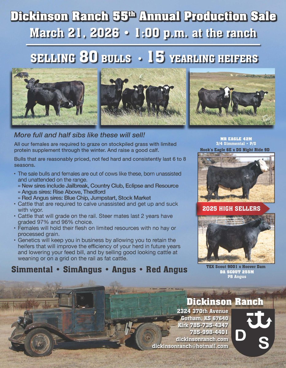 TheStockExchang's tweet photo. 55th Annual Production Sale https://t.co/06IpBNtXUR https://t.co/59r7IGj3Lw