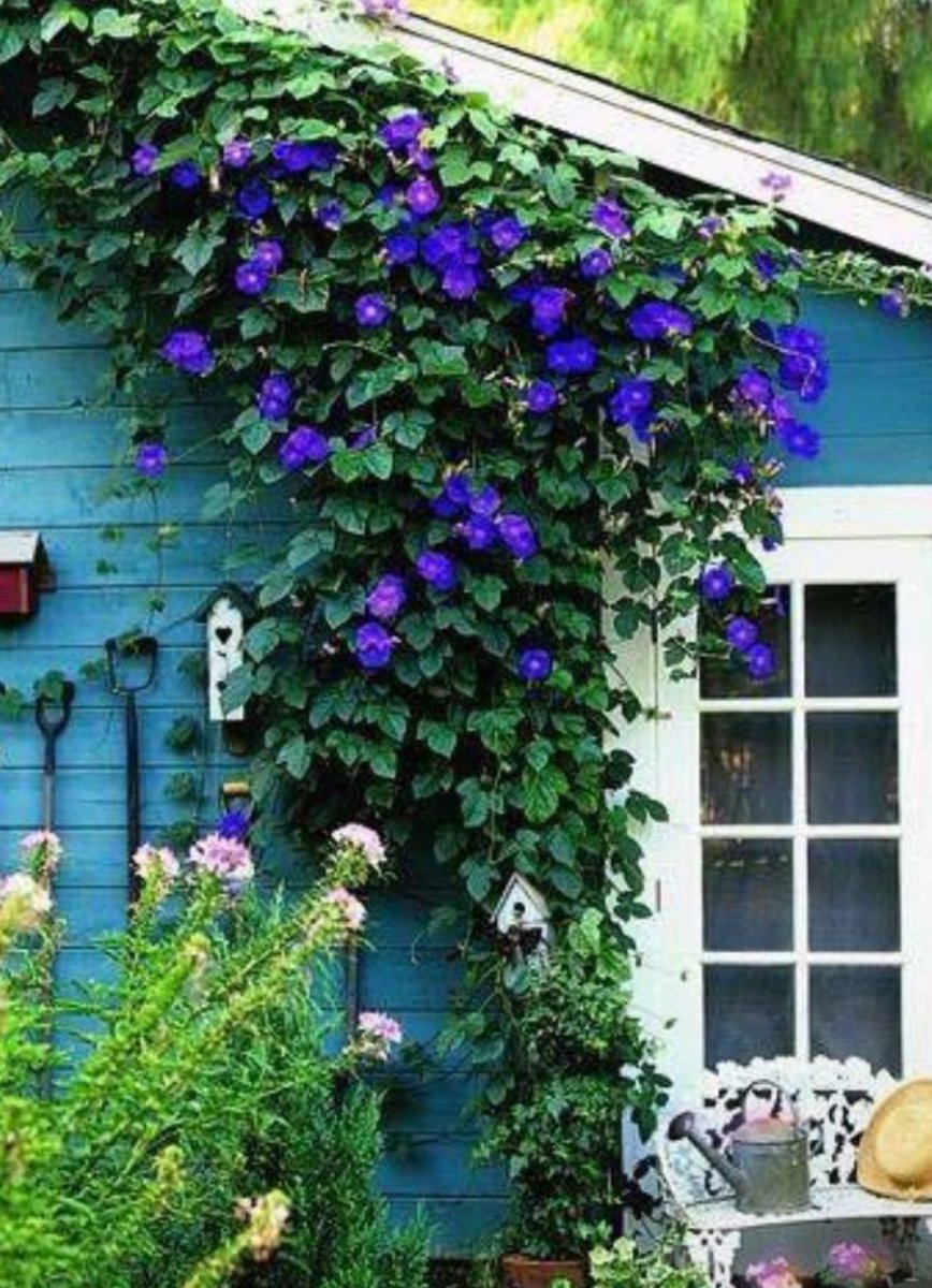 Hamilton 🇺🇸 tweet media