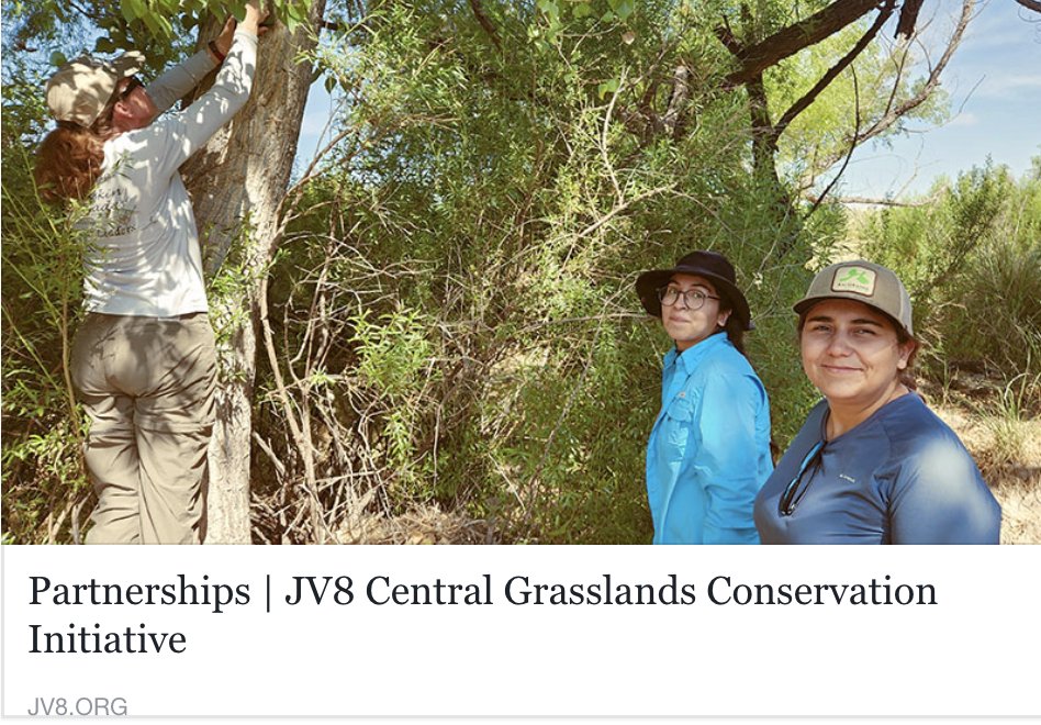 riograndejv's tweet photo. Get involved: JV8 brings together landowners, farmers and ranchers, policy makers, funders, and conservationists--from the US, Mexico, and Canada--to sustain and restore this iconic landscape. Connect, collaborate, and take action locally. https://t.co/GdmUI9EEzO to learn more. https://t.co/3QWObvgr1i