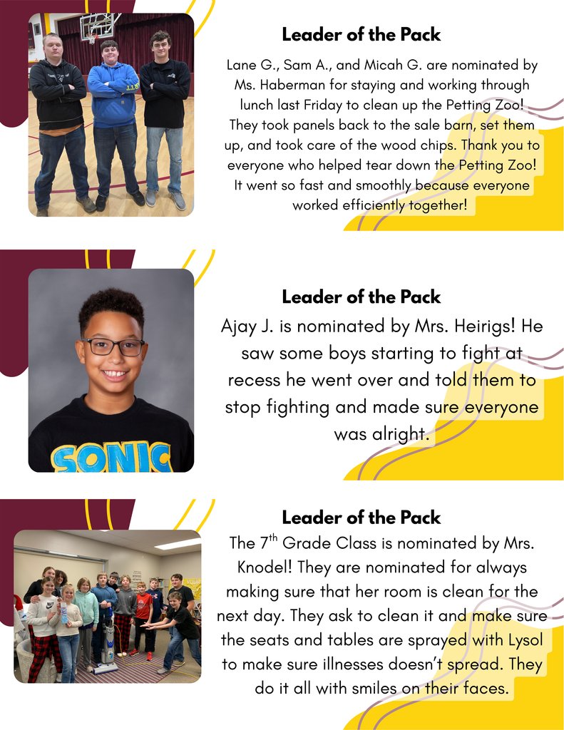 Menno Wolves tweet media