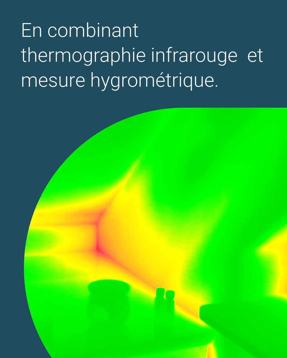 Testo France tweet media