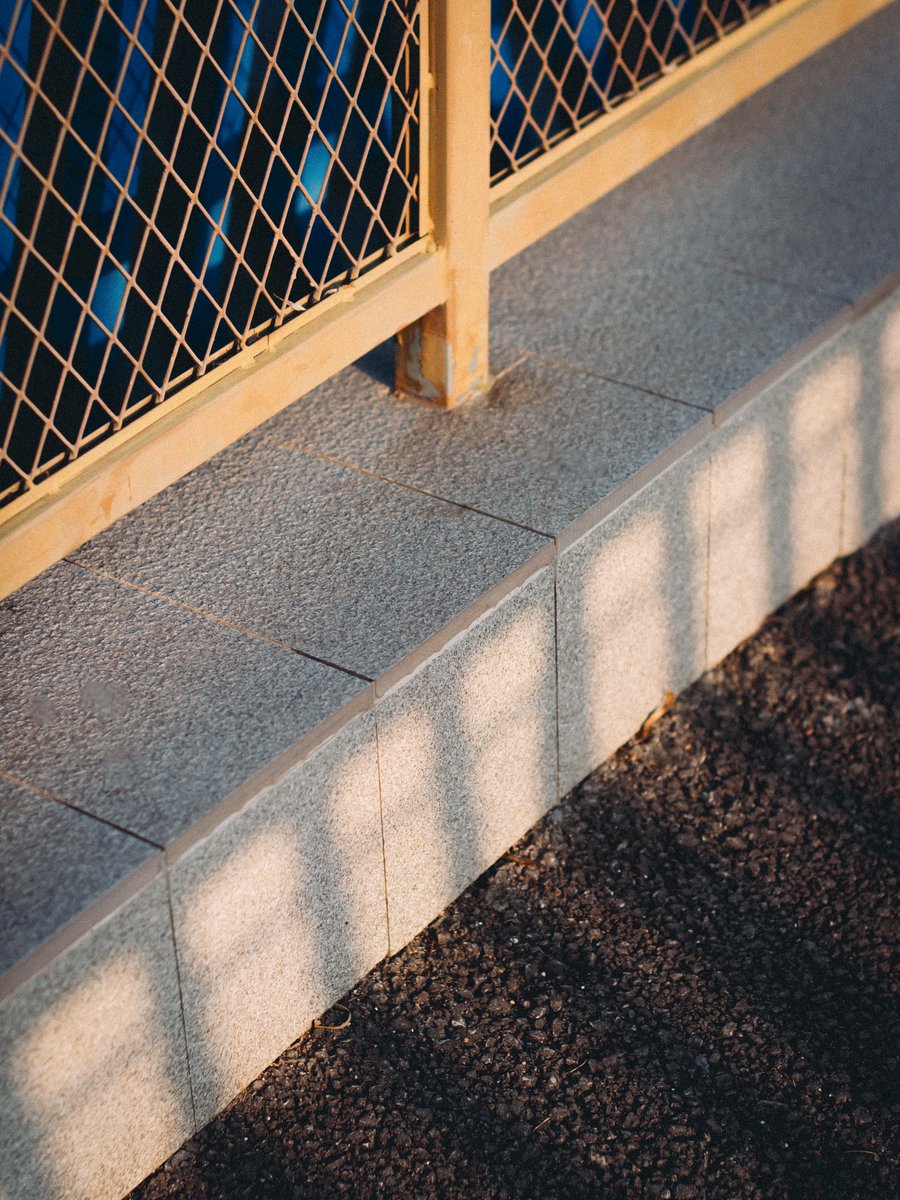 不安鹿 (@cervoansioso) on Twitter photo 