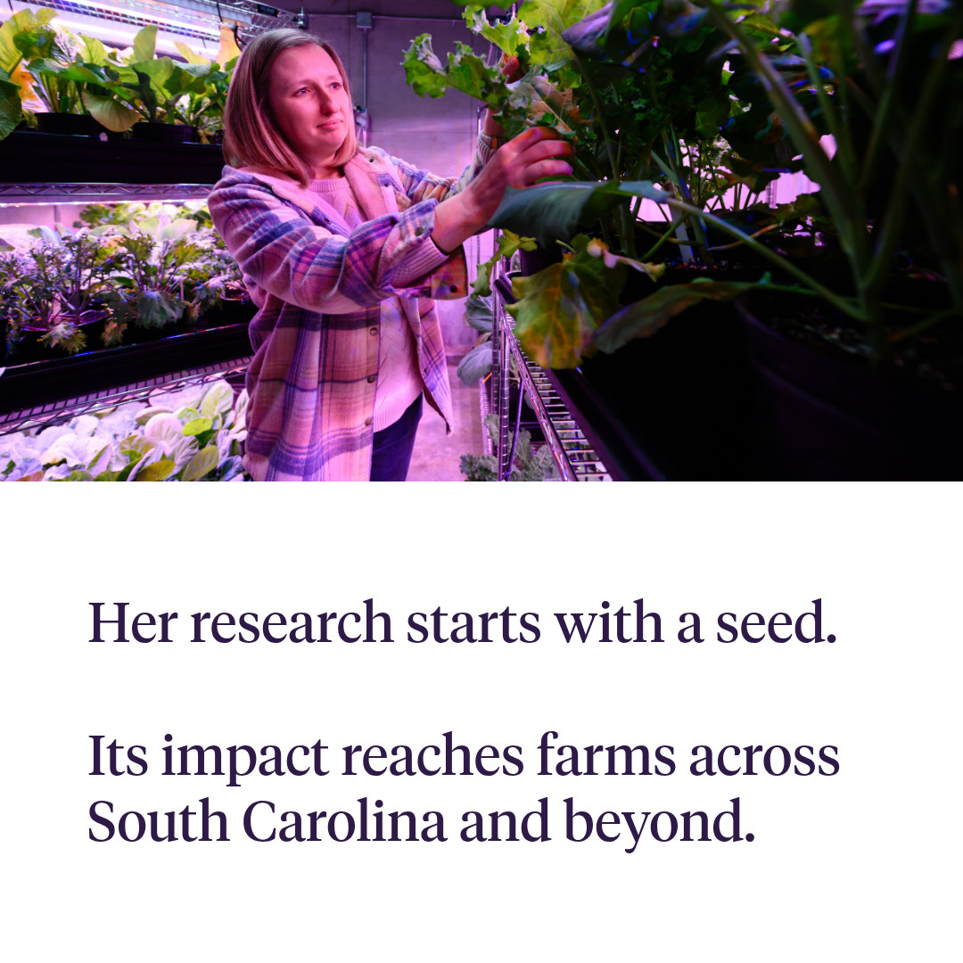 Clemson University tweet media