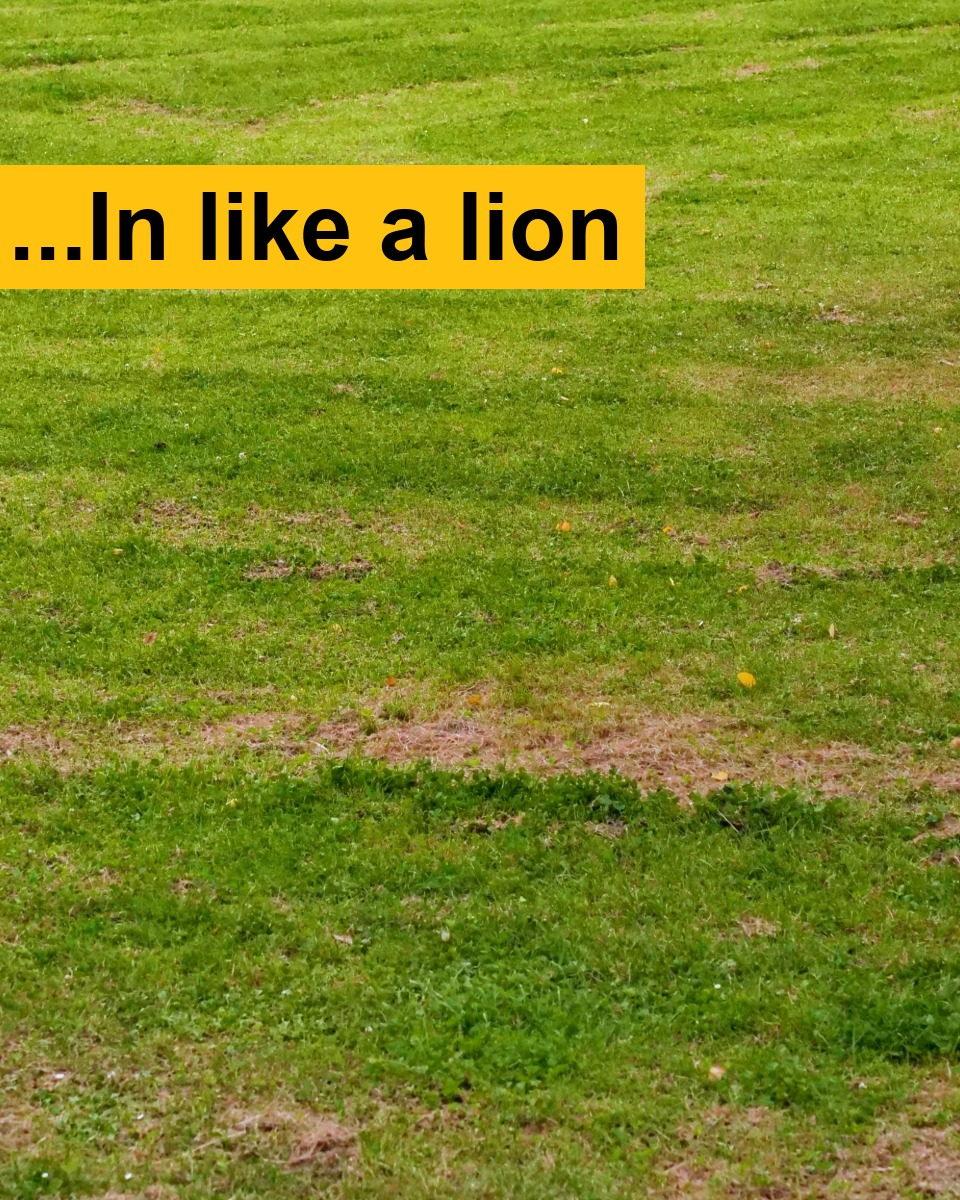 mbielert's tweet photo. Getting ready to show March whose boss this year. https://t.co/7ZkerYKT21