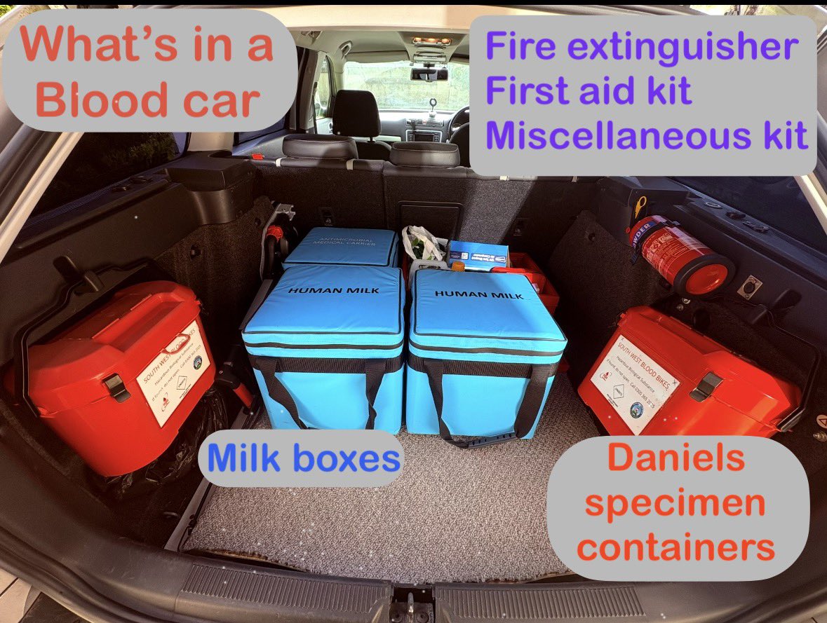 TicketWolf1 🇬🇧 🐾 tweet media