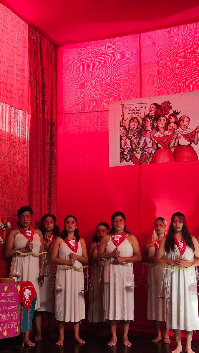 RocioSilvaSantisteban tweet media